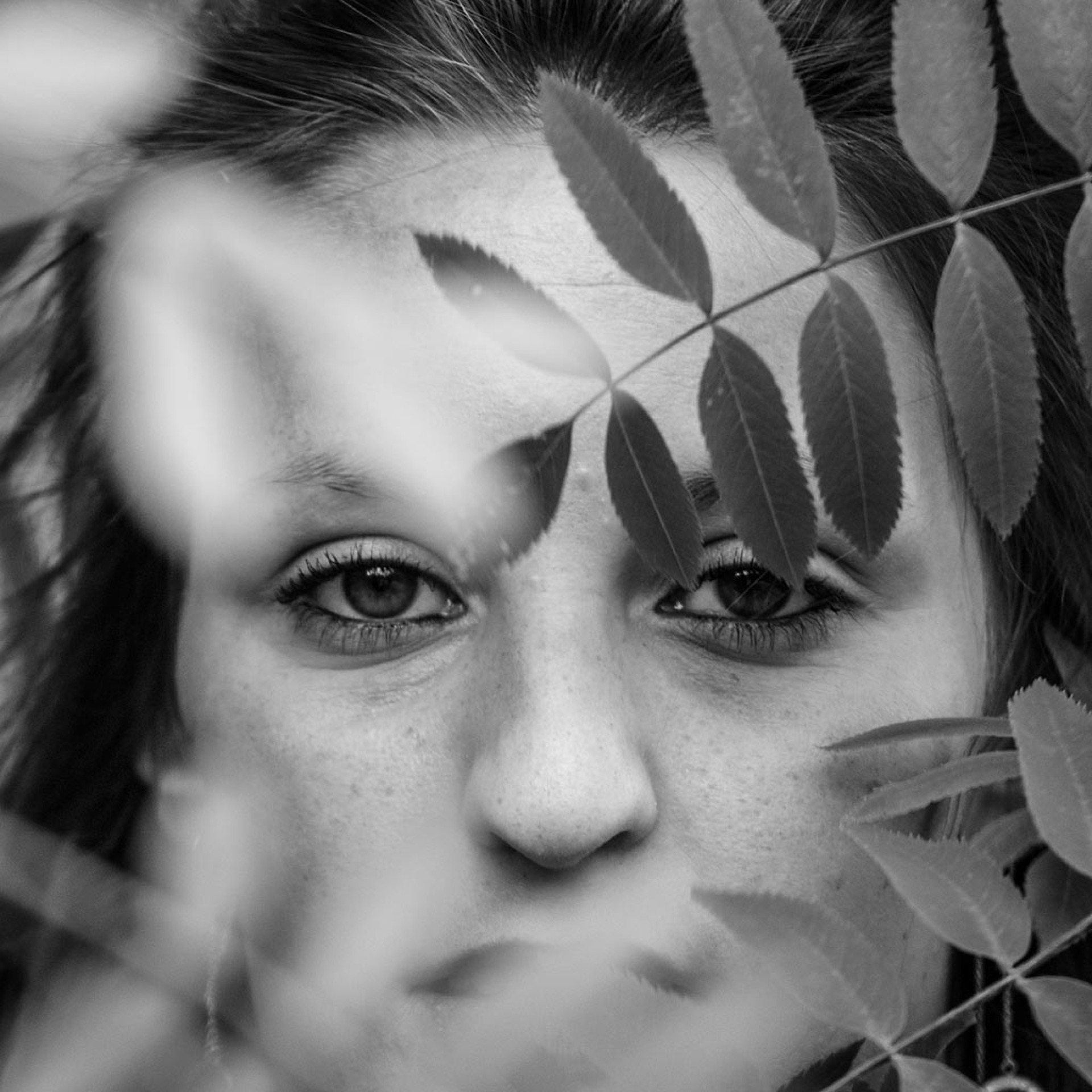 Portrait professionnel